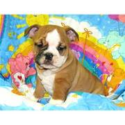 candy Bulldog Puppies ready now