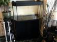 WANTED Big fish tank with lights,  big external filter, ....