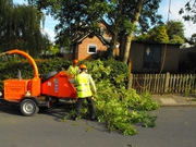 Your Local Qualified Tree Surgeons in Bournemouth